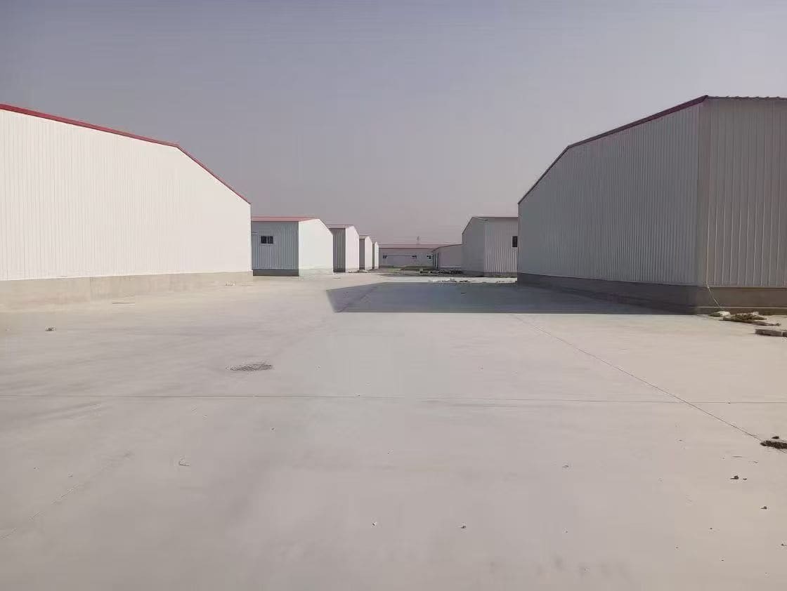 开阔的园区内部场地